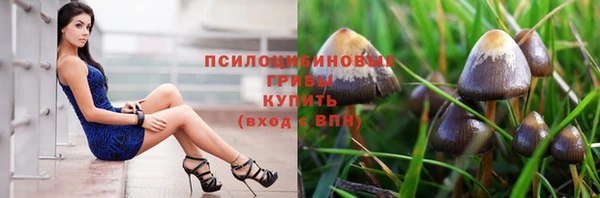 трава Армянск