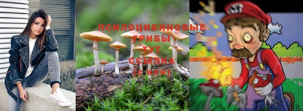 а пвп мука Аркадак