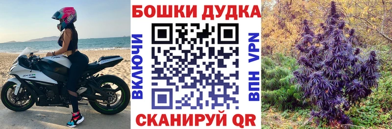 Бошки марихуана AK-47  мега как войти  Зверево 